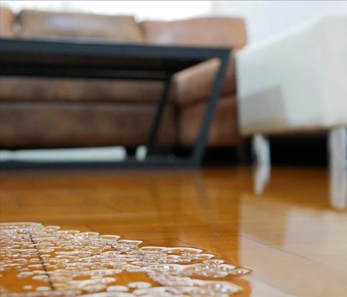 An close up image of water on vinyl floor with a blurred couch in the background.